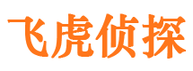 宁海侦探公司